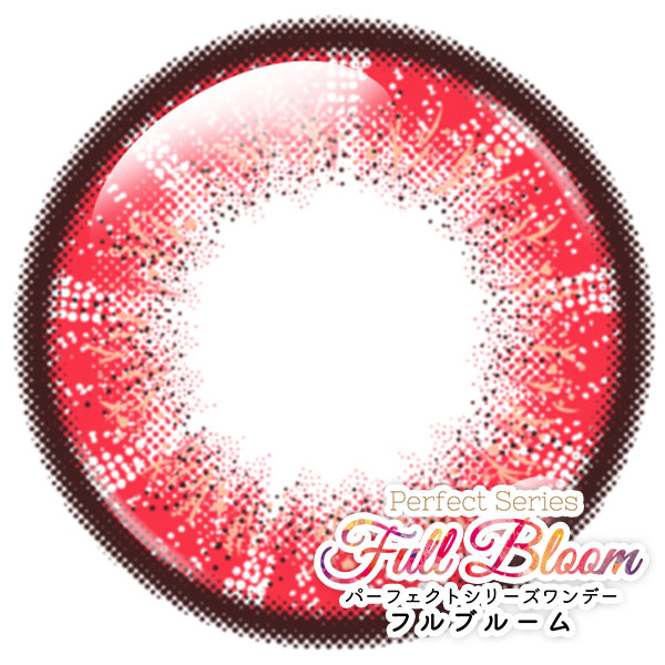 パーフェクトワンデーフルブルーム ローズ