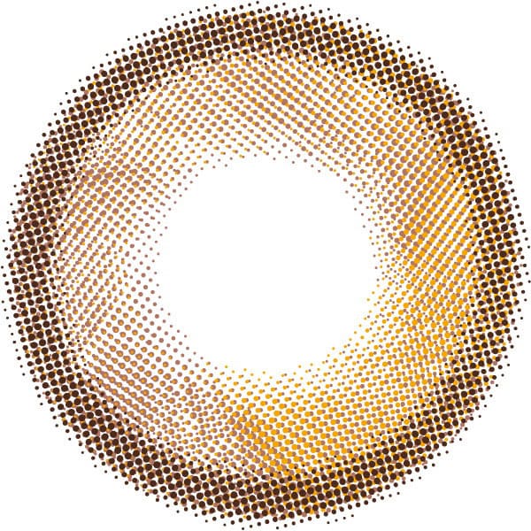 フェレーヌ　エクリンブラウン