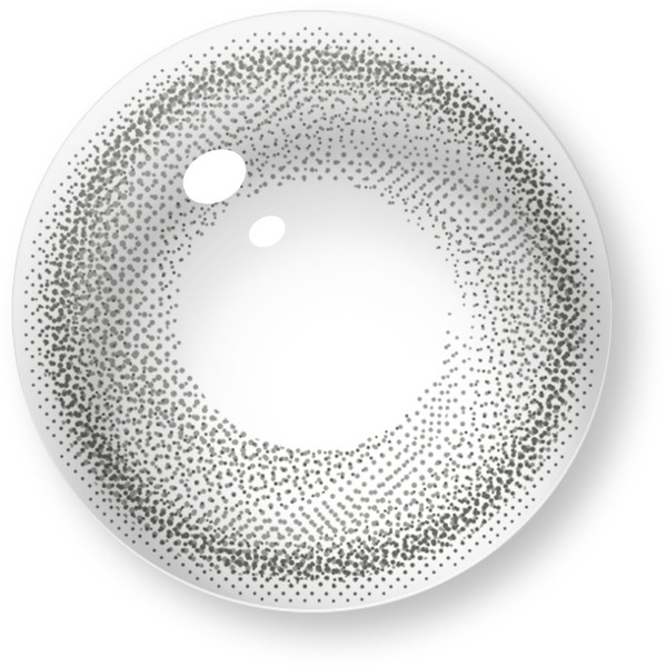 ステップワン アメリカングレー