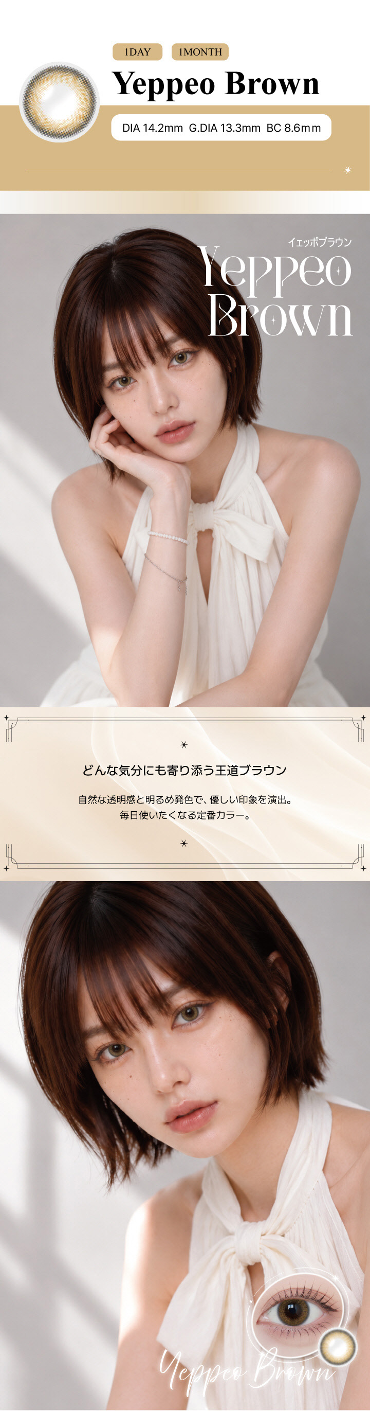 アンジェリーク ワンデー イェッポブラウンレンズ詳細