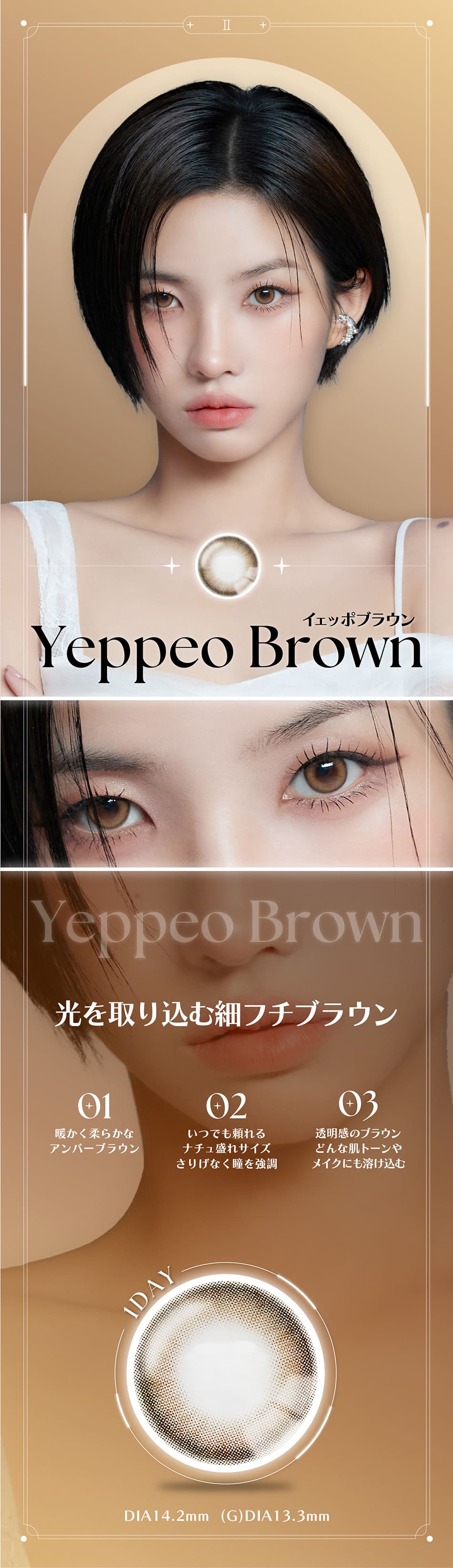 アンジェリーク ワンデー イェッポブラウンレンズ詳細