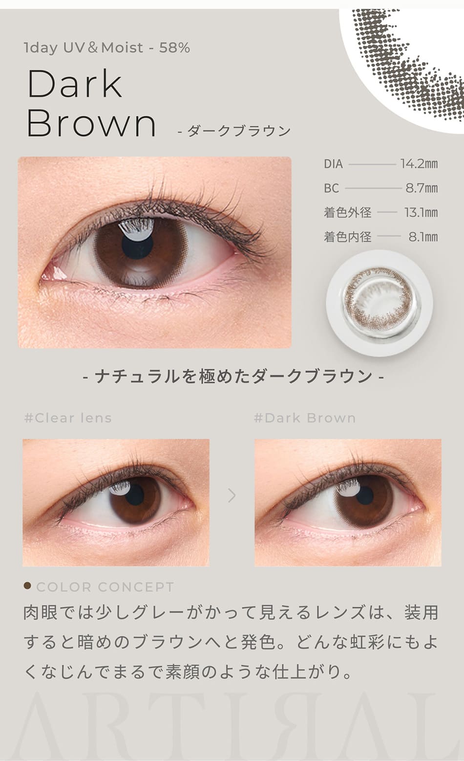 アーティラル ワンデー UV＆Moist（58%）【30枚入】ダークブラウンレンズ詳細