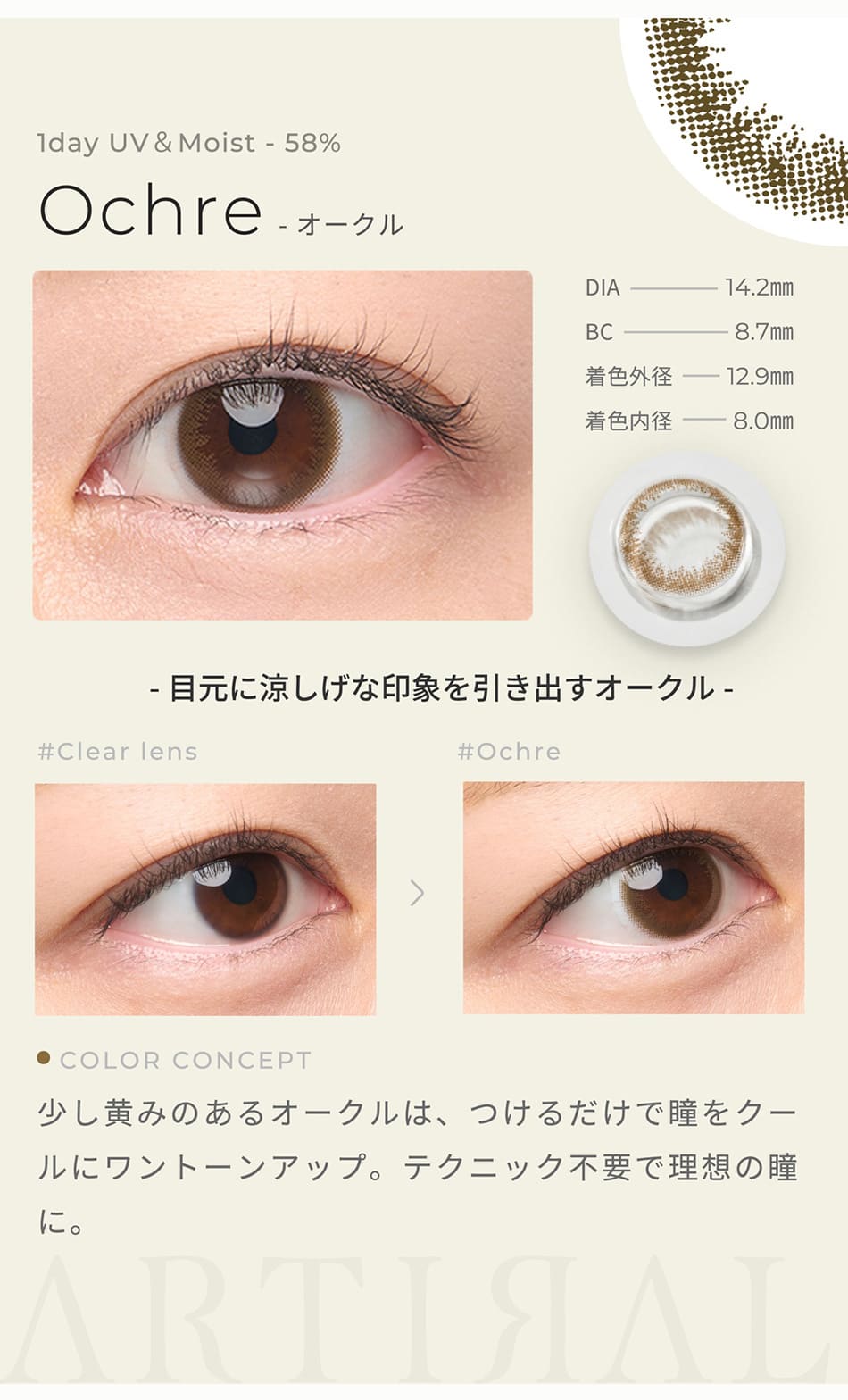 アーティラル ワンデー UV＆Moist（58%）【10枚入】オークルレンズ詳細