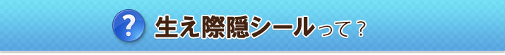 生え際隠シールについて