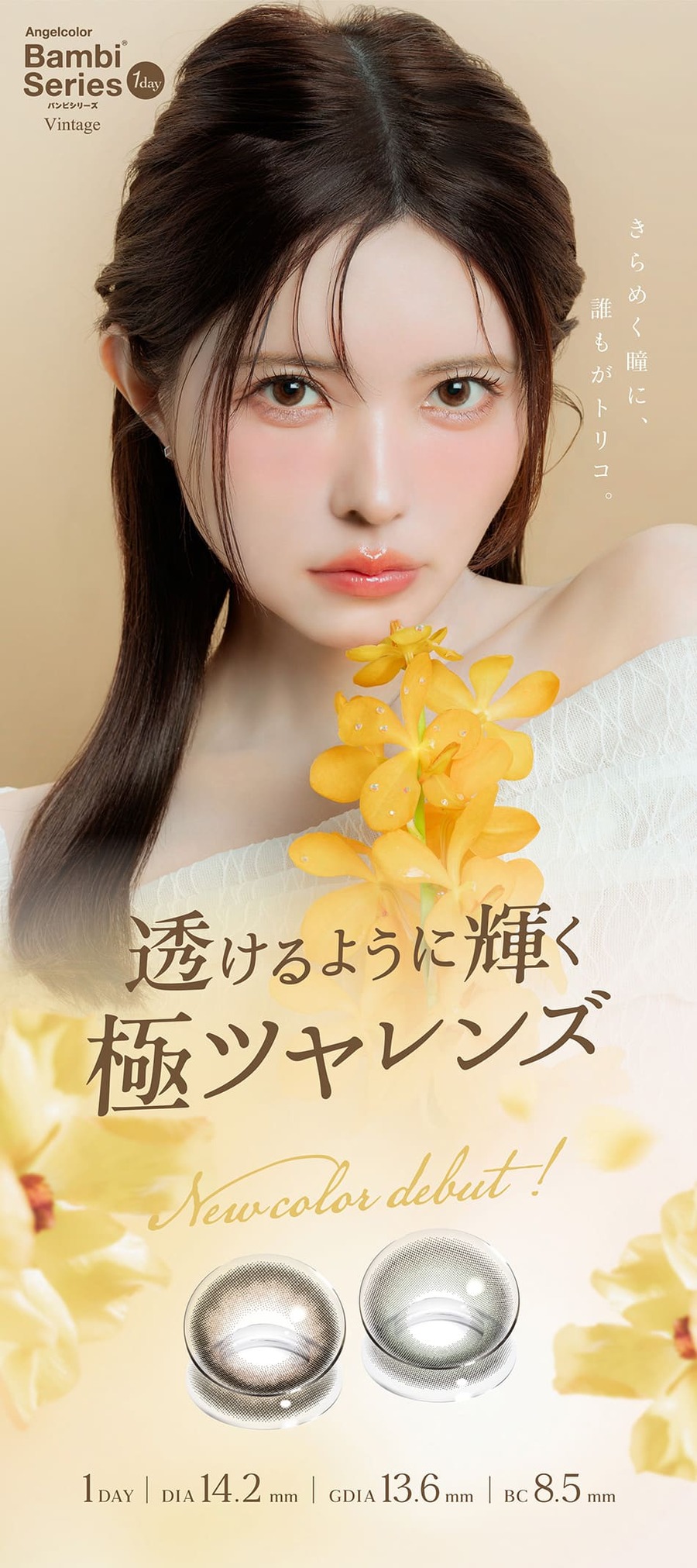 バンビシリーズ ヴィンテージワンデー メイン画像