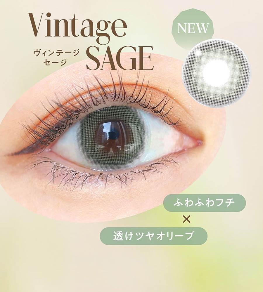 バンビシリーズ ヴィンテージワンデー ヴィンテージセージ画像