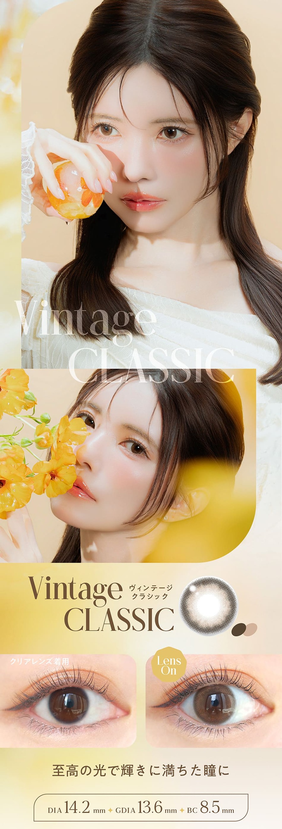 バンビシリーズ ヴィンテージワンデー ヴィンテージクラシック詳細