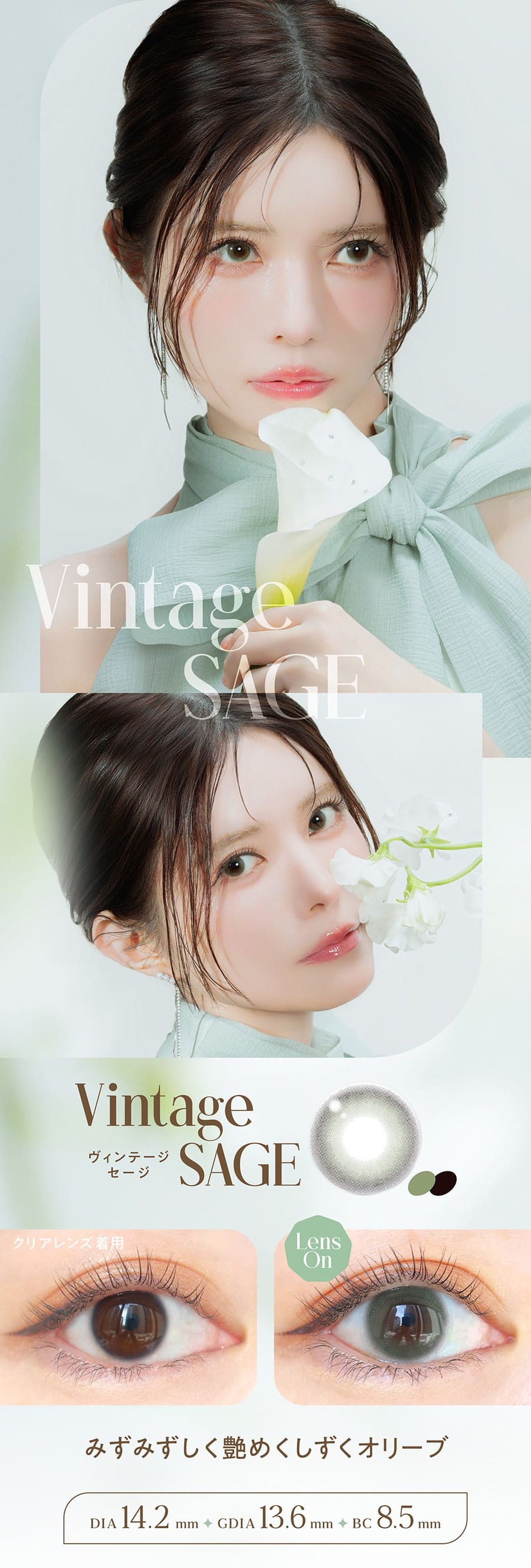 バンビシリーズ ヴィンテージワンデー ヴィンテージセージ詳細