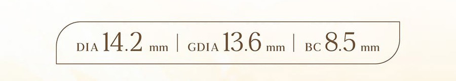 バンビシリーズ ヴィンテージワンデー レンズスペック