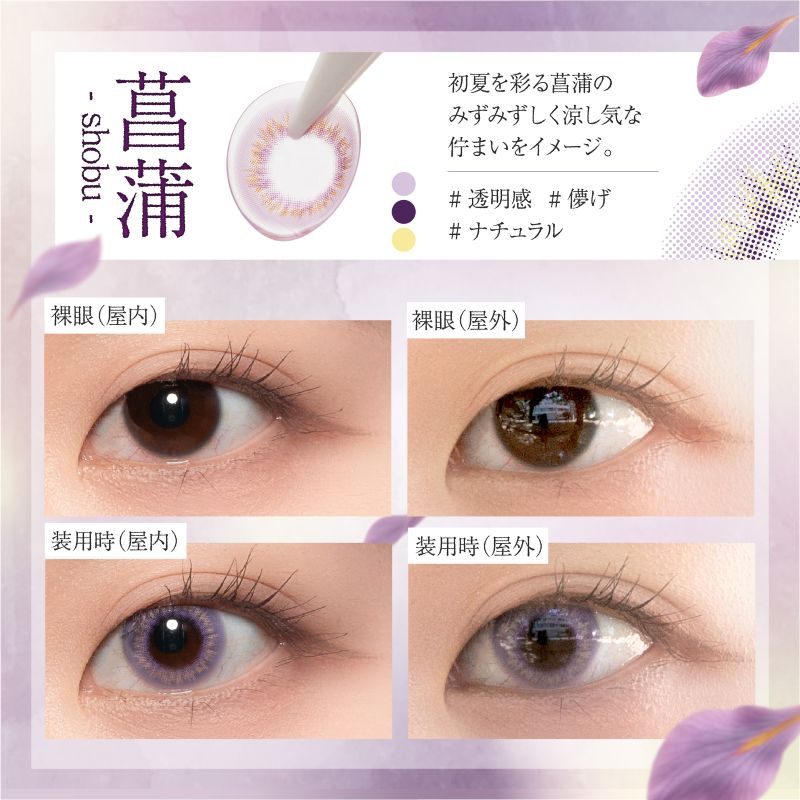 美少年画（Bishonenga 1day）菖蒲レンズ詳細