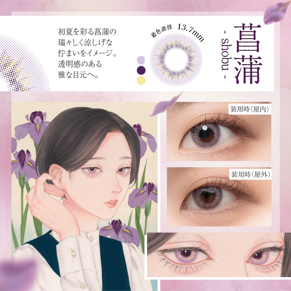 美少年画 マンスリー 菖蒲レンズ詳細