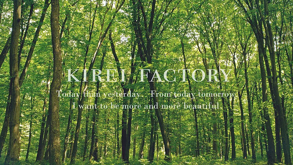 キレイファクトリー