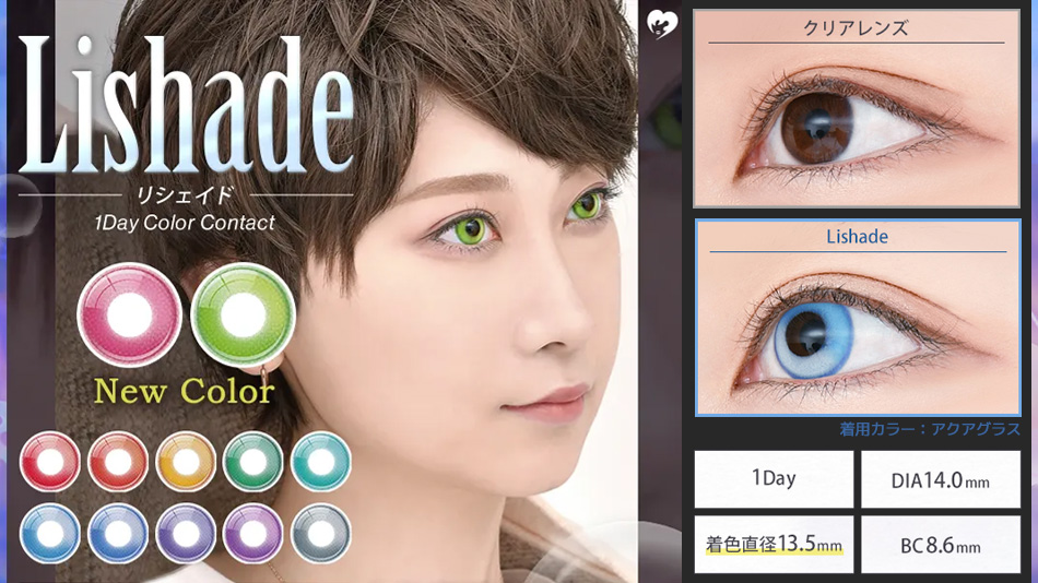 アシストシュシュ リシェイドワンデー