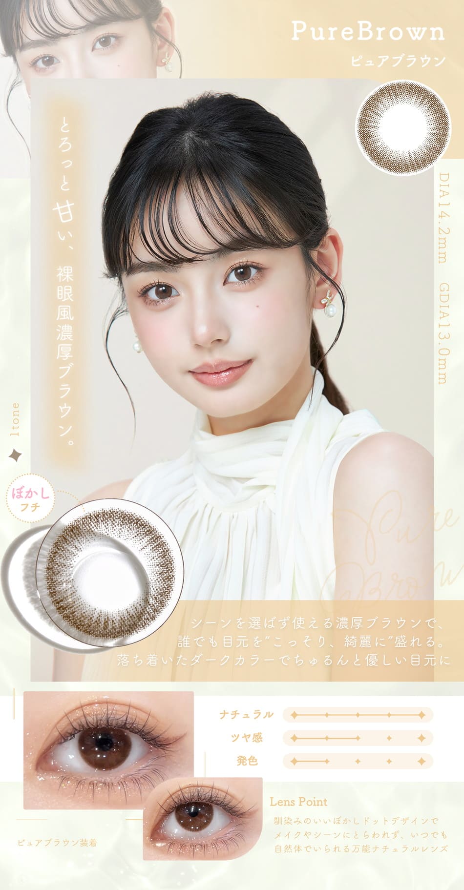 シェリールピュアブラウン画像