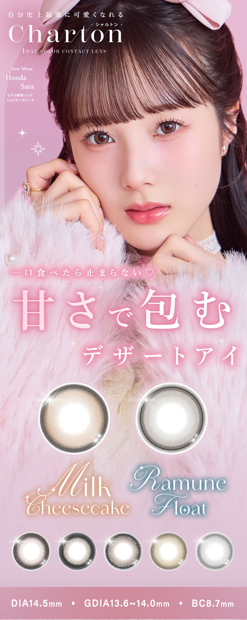 シャルトン メイン画像