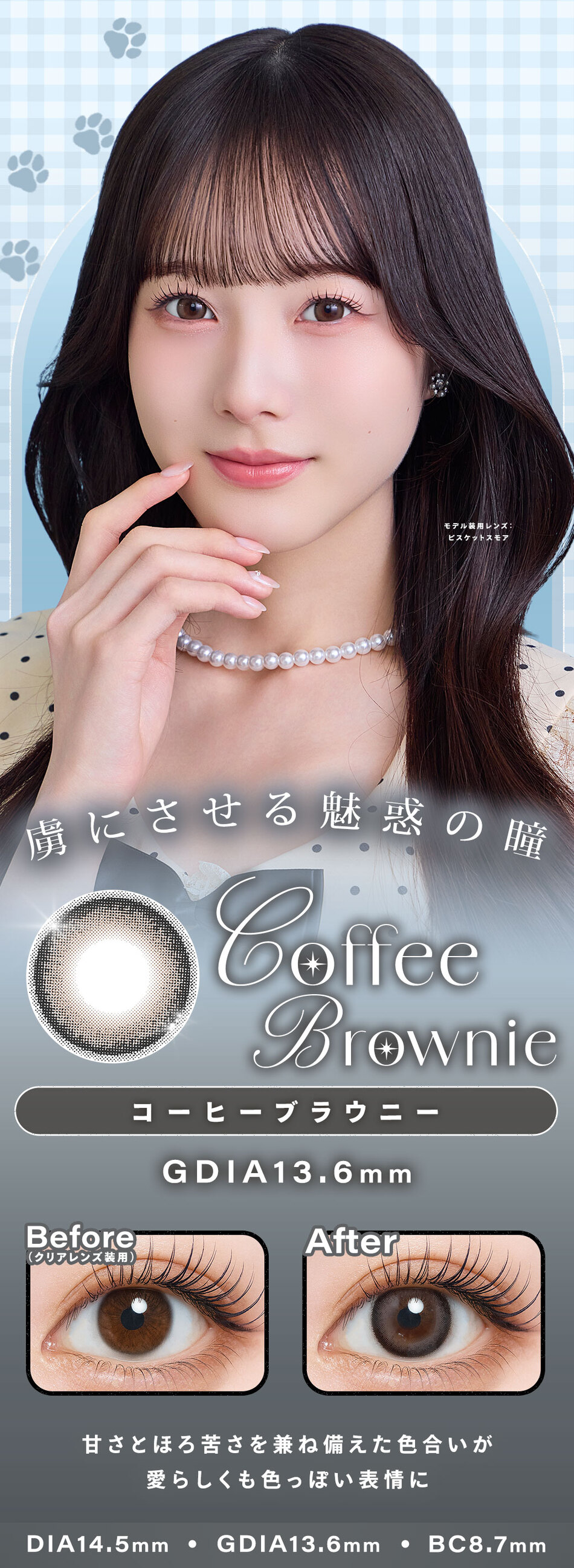 シャルトン コーヒーブラウニー画像