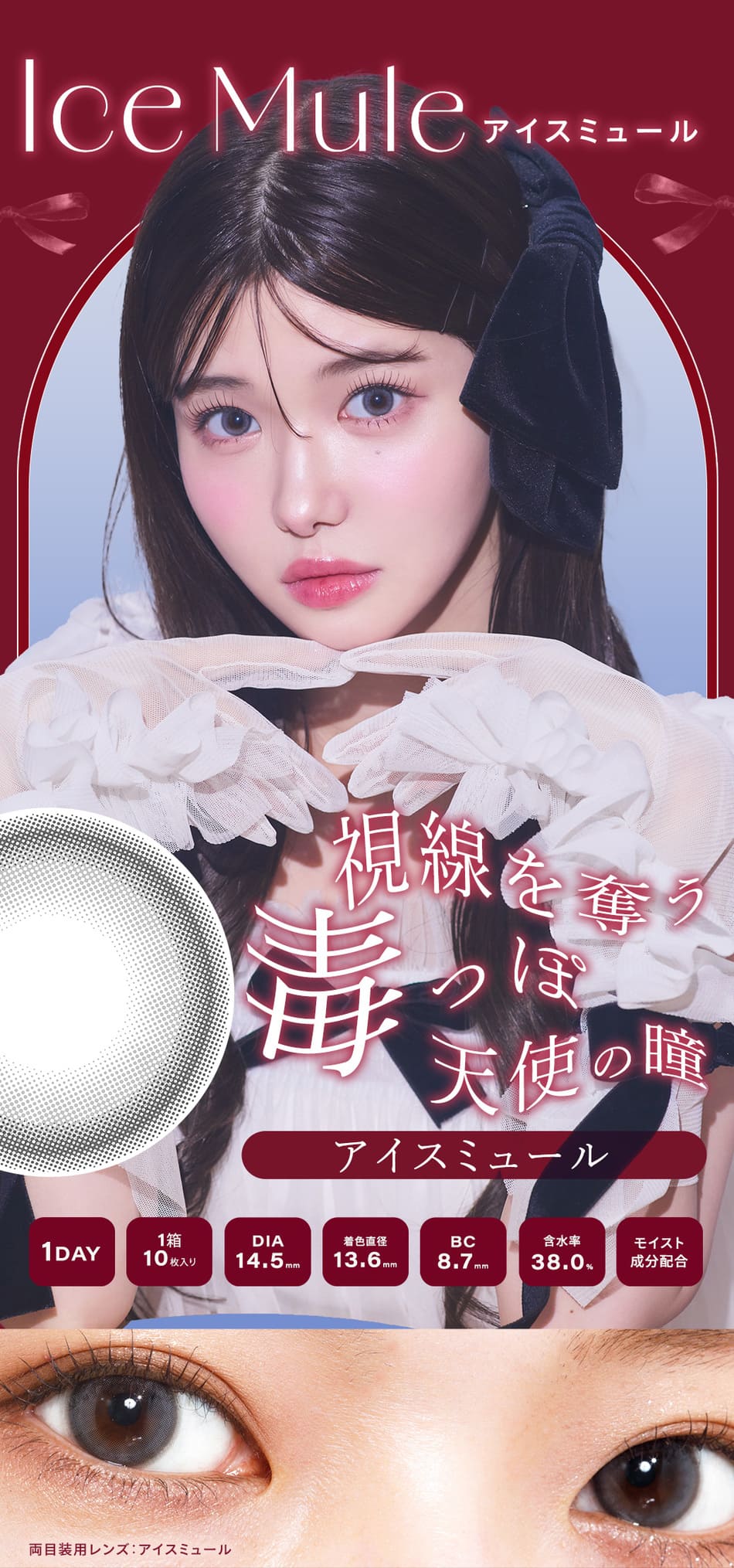 シャルトンアイスミュール画像