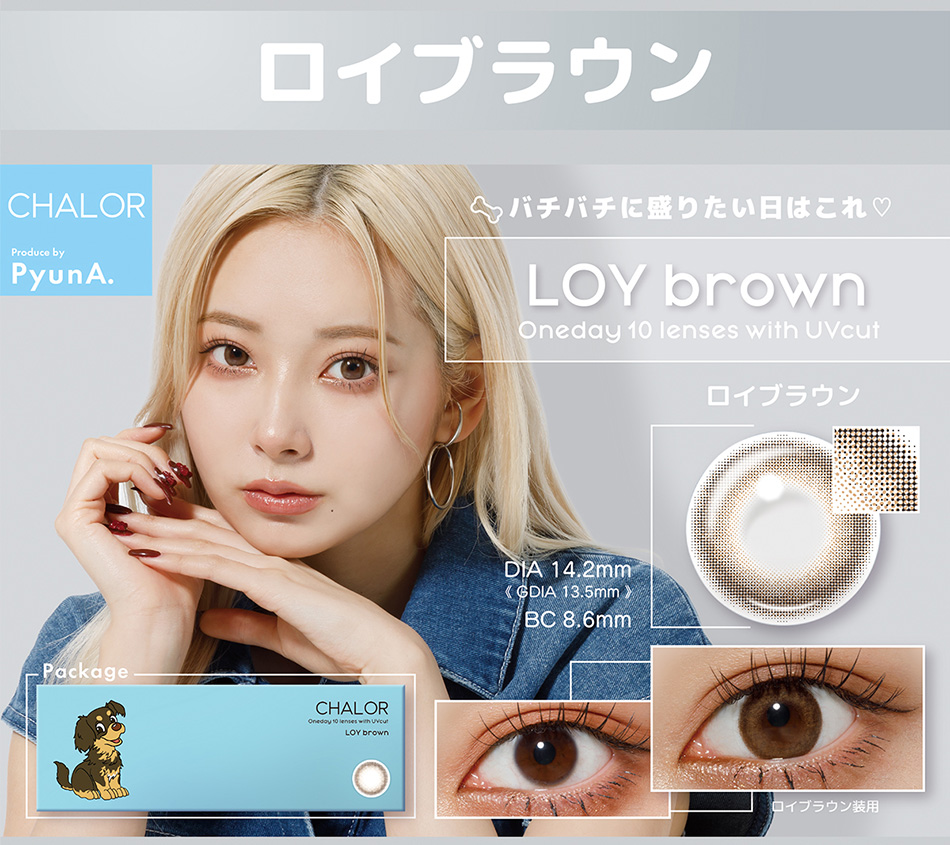 チャロル（CHALOR） ロイブラウン画像