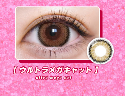 超モテコンウルトラマンスリー ウルトラメガキャット装着画像