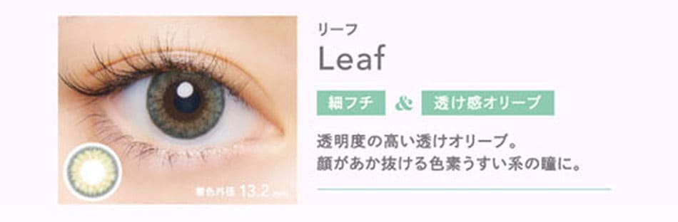 クルームCRUUM リーフ画像