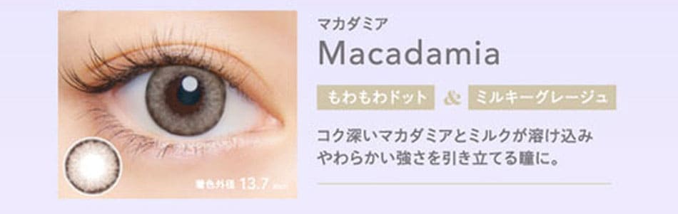 クルームCRUUM マカダミア画像