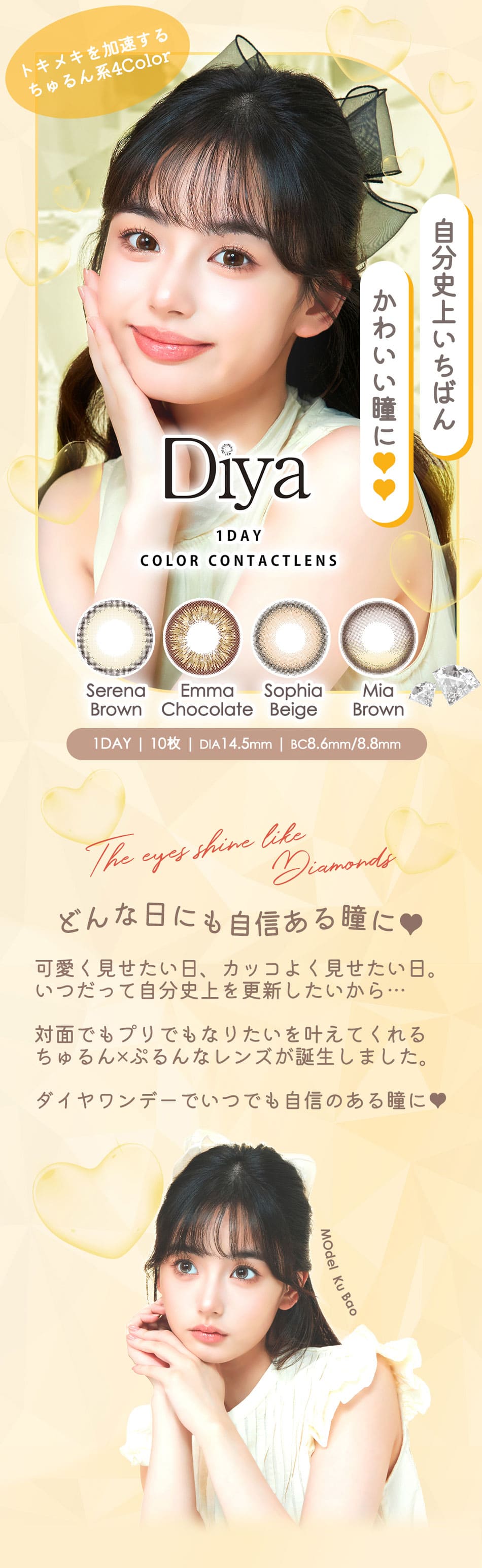 ダイヤワンデーメイン画像