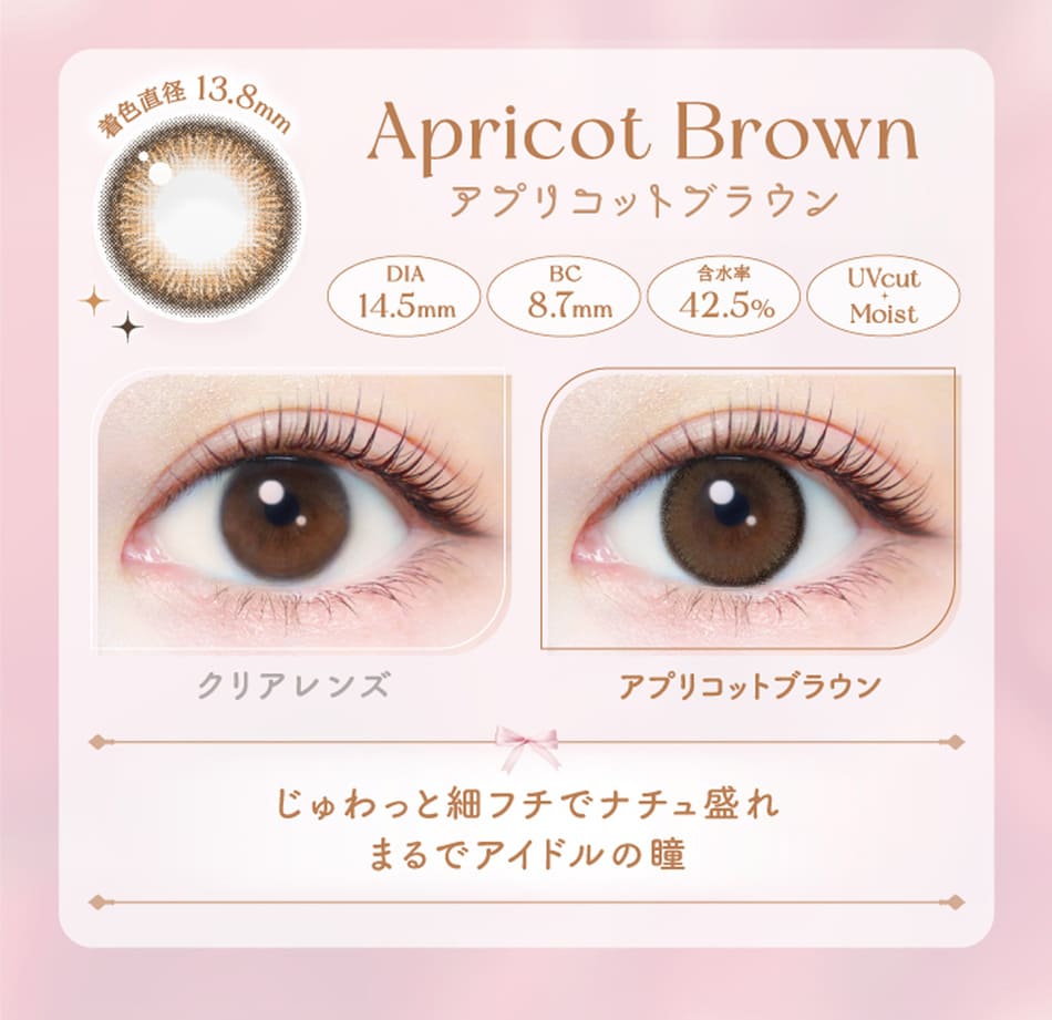 エバーカラーワンデーナチュラルアプリコットブラウン画像