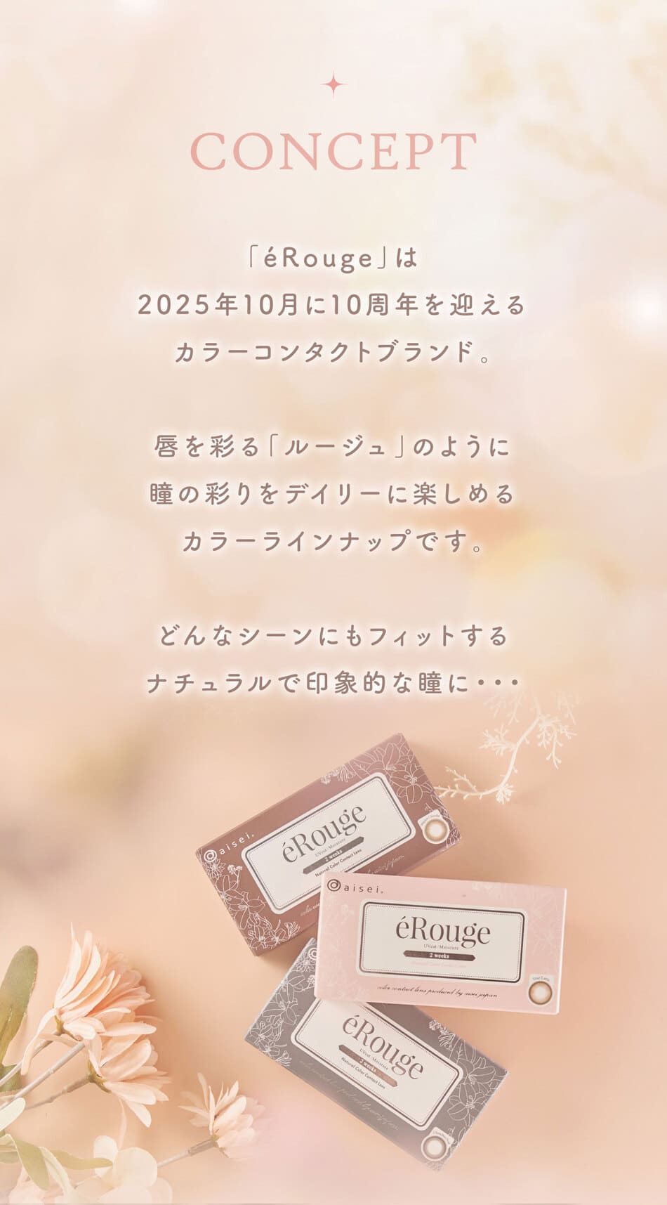 エルージュ コンセプト画像