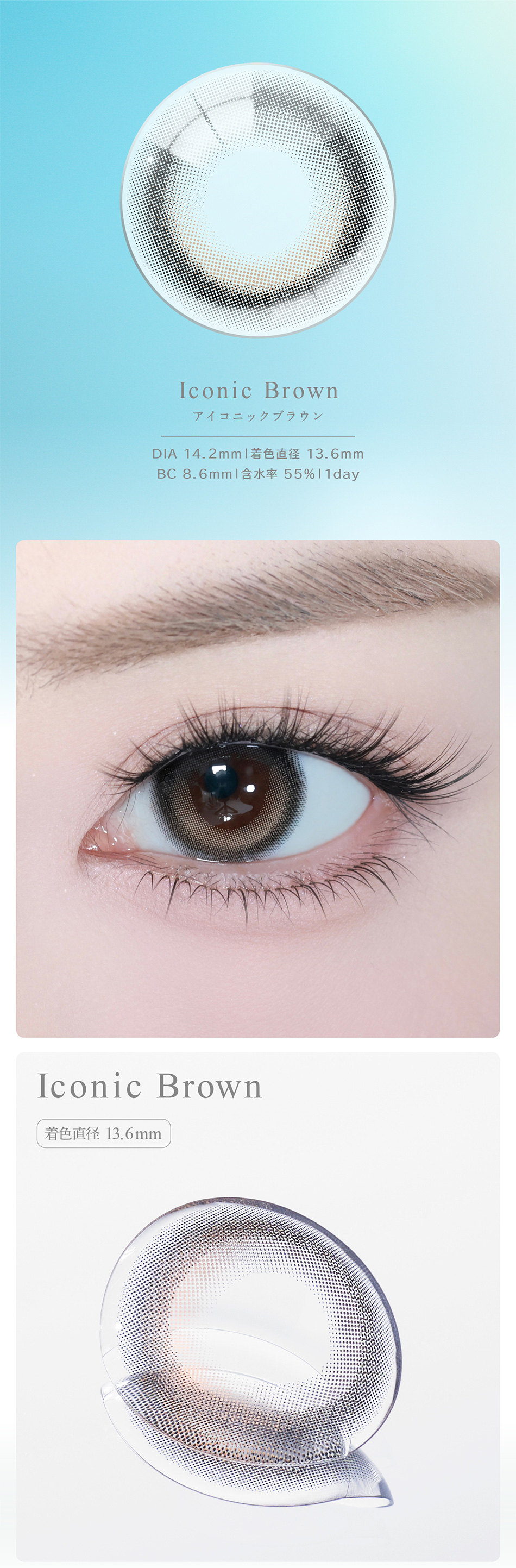 アイスター（eyestar）アイコニックブラウンレンズ詳細