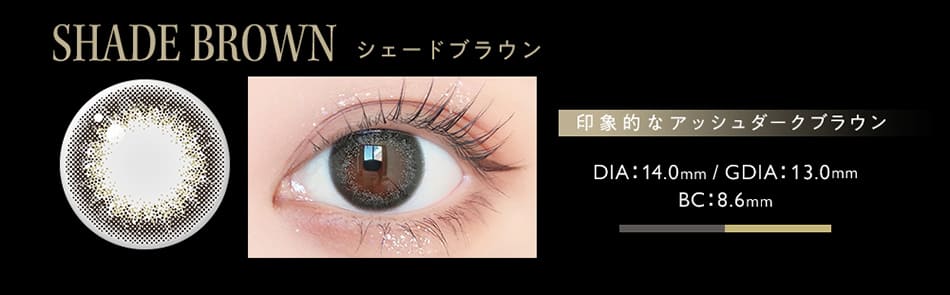 アンヴィ　シェードブラウン画像