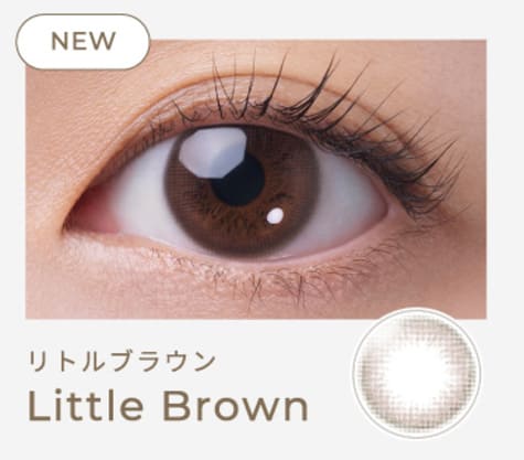 フェアリーワンデー ニュートラルシリーズ リトルブラウン装着画像