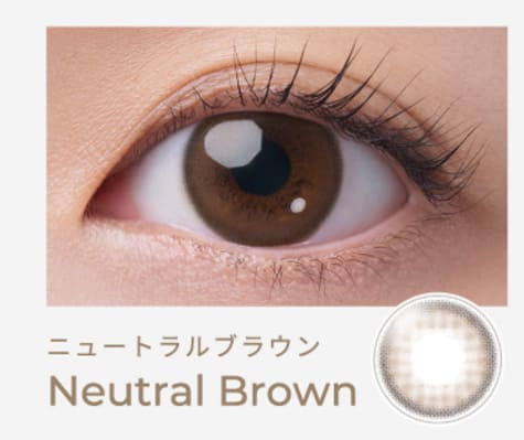 フェアリーワンデー ニュートラルシリーズ ニュートラルブラウン装着画像