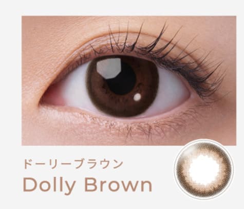 フェアリーワンデー ニュートラルシリーズ ドーリーブラウン装着画像