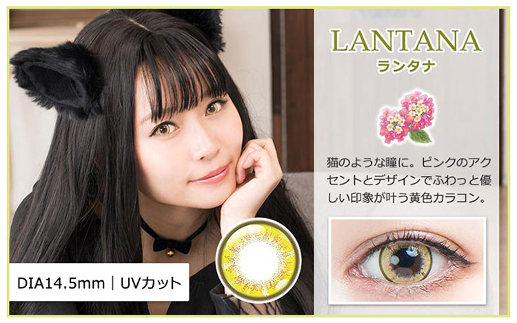 パーフェクトシリーズワンデー フルブルーム ランタナレンズ詳細