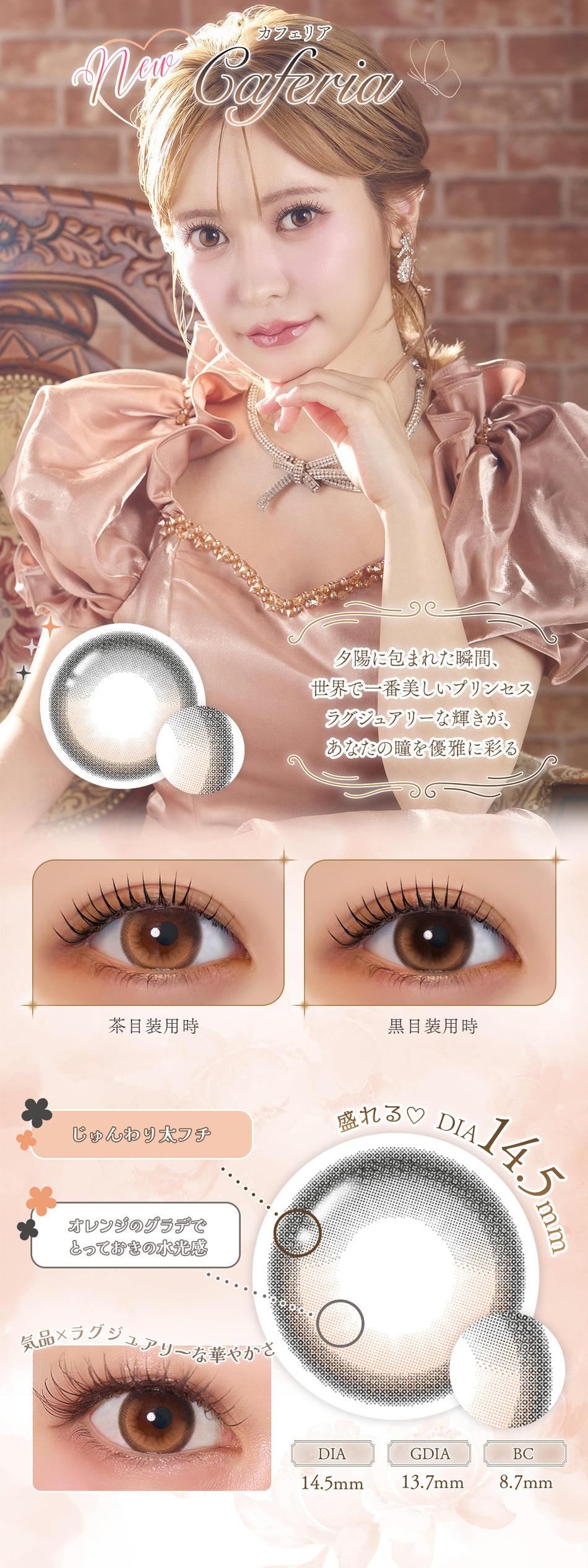 フェレーヌ（Ferenne）カフェリアレンズ詳細