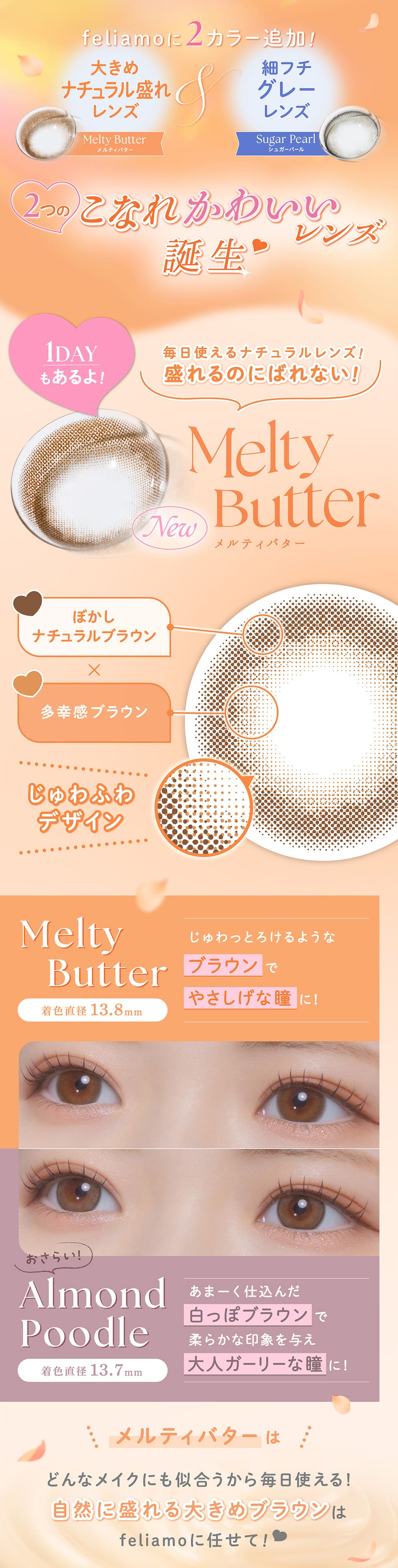 フェリアモ マンスリー（Feliamo 1month）新色について