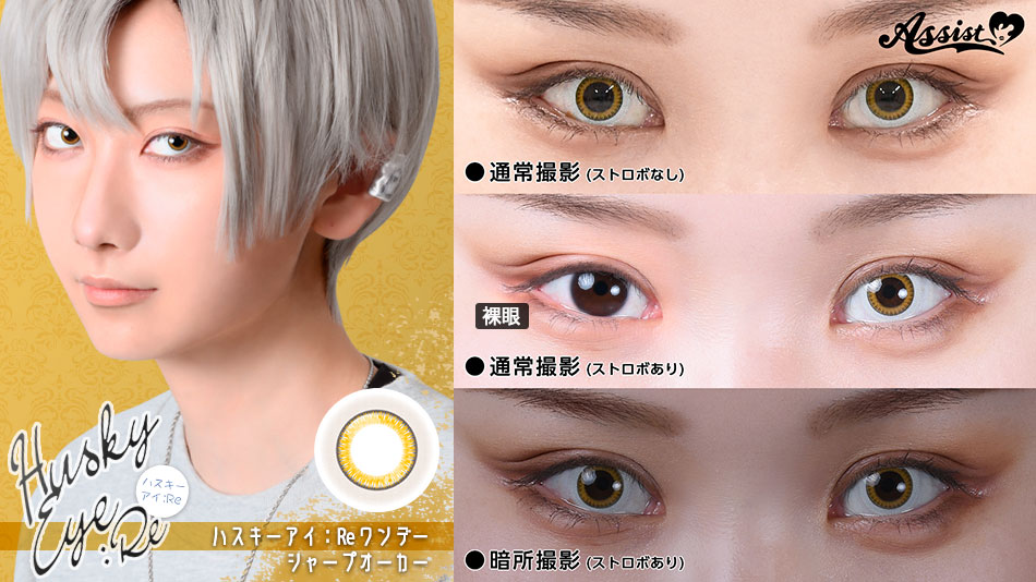 アシストシュシュ ハスキーアイ：Reワンデー 三白眼風カラコンシャープオーカーレンズ詳細