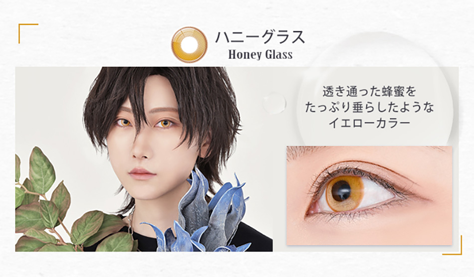アシストシュシュ リシェイドワンデー ハニーグラスレンズ詳細