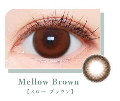 マジェット メローブラウン装着画像