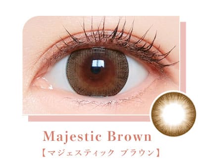 マジェット マジェスティックブラウン装着画像