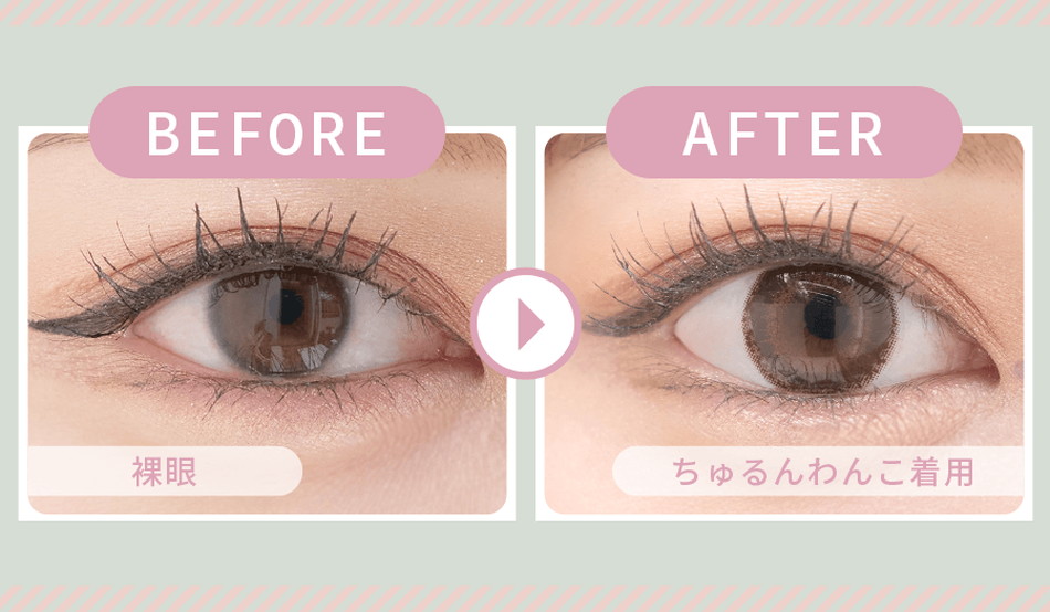 ミキュアムMieQaM ちゅるんわんこ装着イメージ詳細