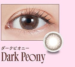モラクマンスリー ダークピオニーレンズ詳細