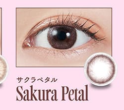 モラクマンスリー サクラペタルレンズ詳細
