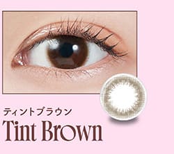 モラクマンスリー ティントブラウンレンズ詳細