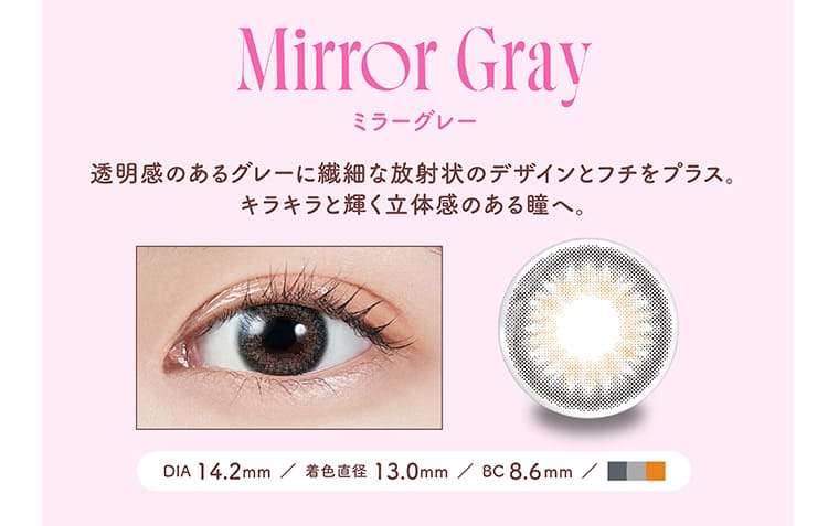 モラクマンスリー ミラーグレー装着画像