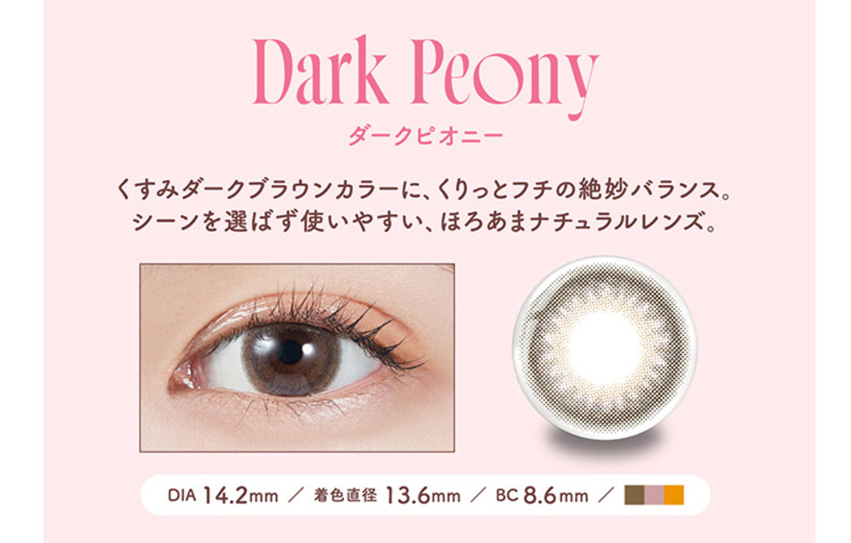 モラクワンデーMOLAK ダークピオニー画像