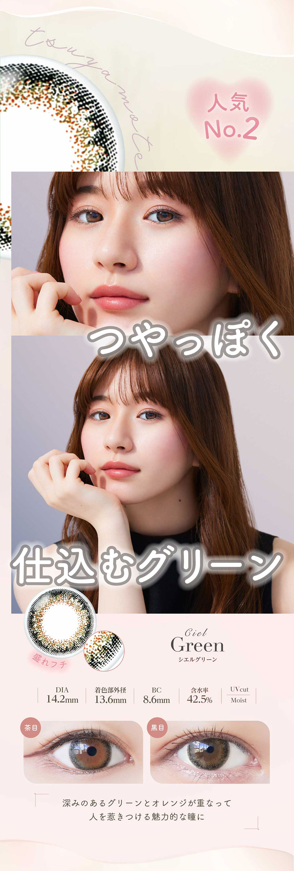 ネオサイトワンデー シエルUV シエルグリーンレンズ詳細