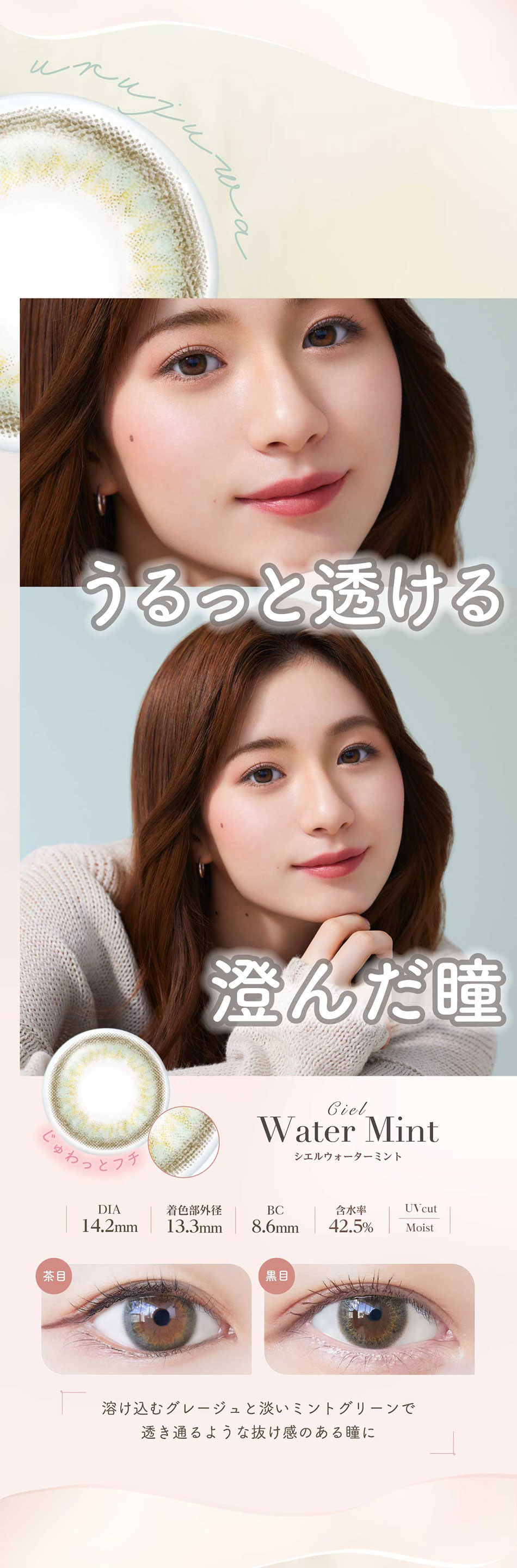 ネオサイトワンデー シエルUV シエルウォーターミントレンズ詳細