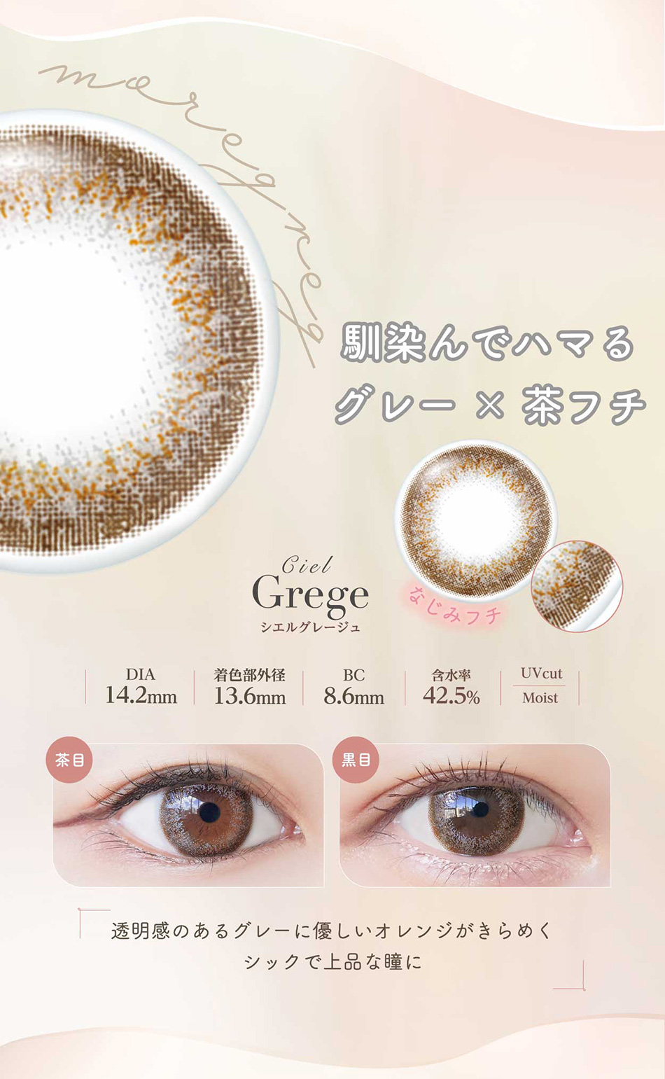 ネオサイトワンデー シエルUV【30枚入】シエルグレージュレンズ詳細