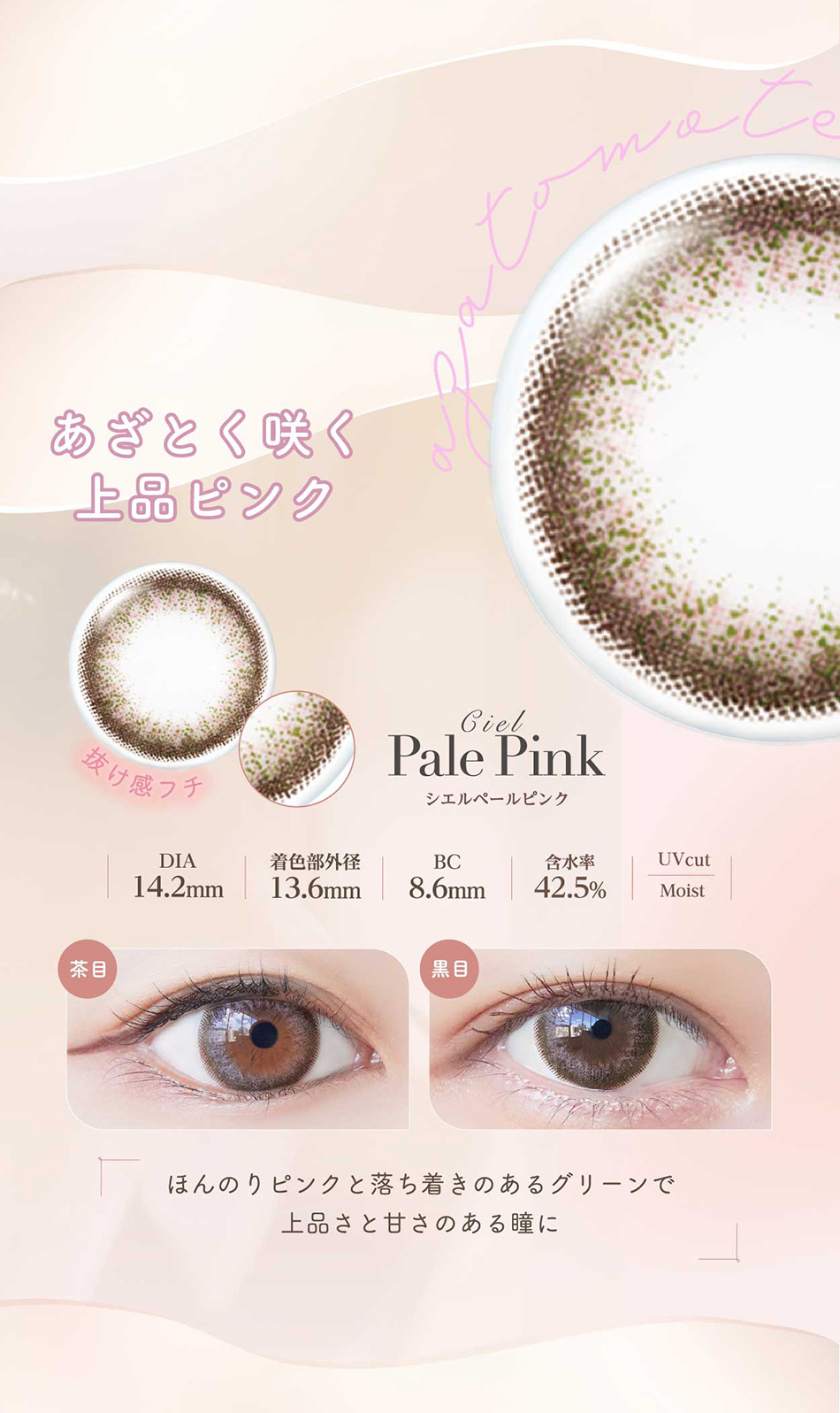 ネオサイトワンデー シエルUV【30枚入】シエルアクアコーラルレンズ詳細